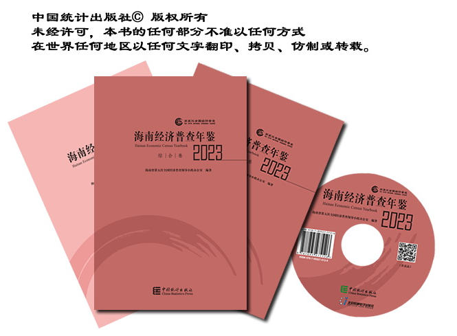海南省经济普查年鉴2023