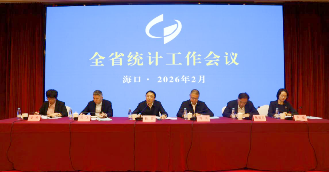 2026年全省统计工作会议在海口召开